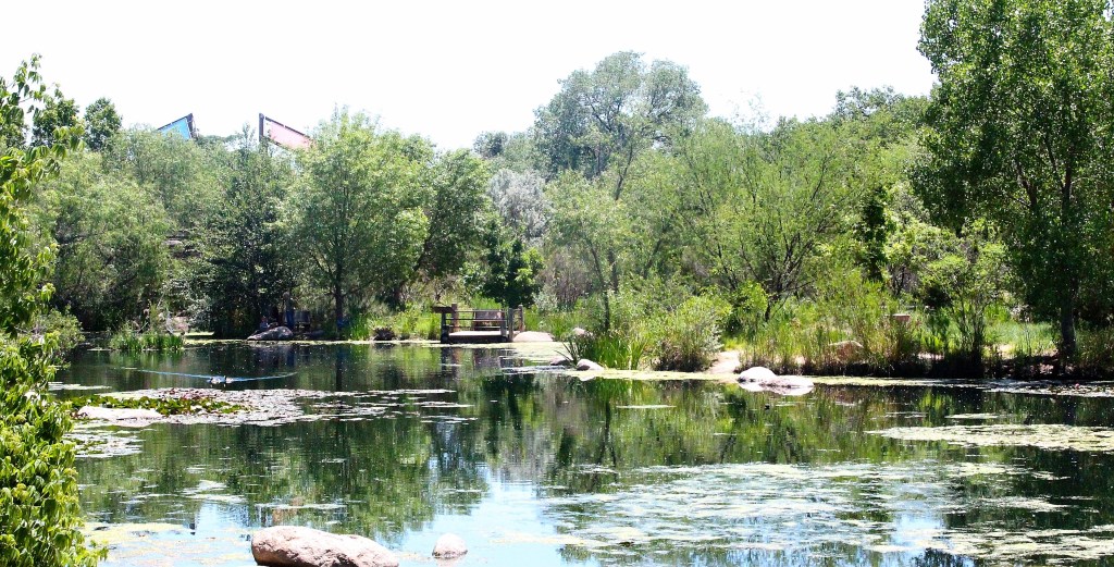 Peace That Calms the&nbsp;Storm