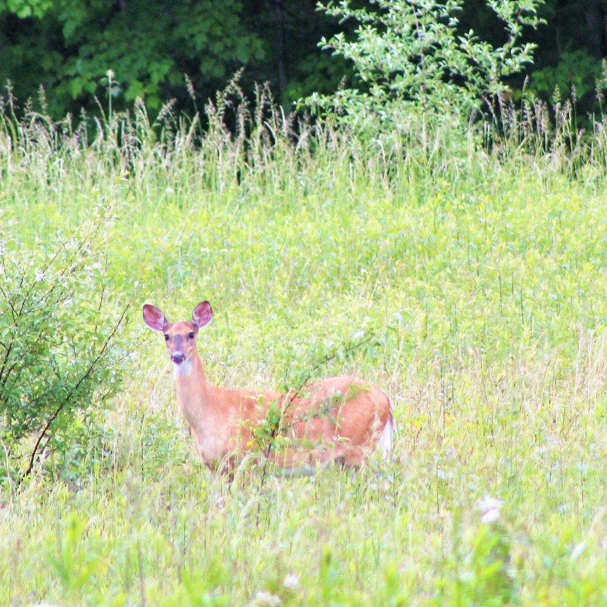 Speak, Lord—Your Servant Is&nbsp;Listening