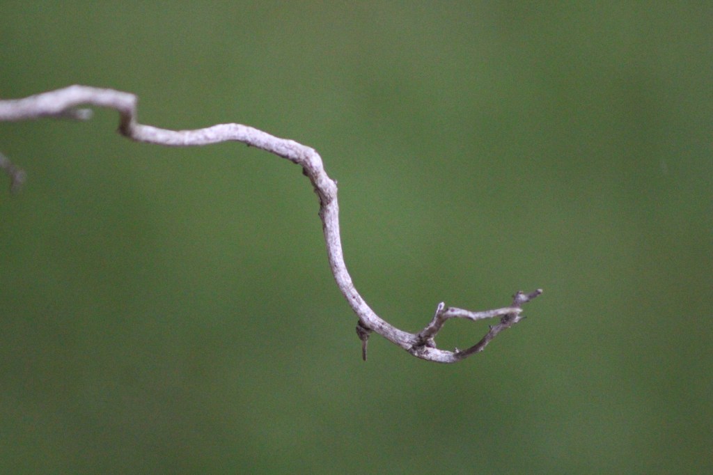 The Table of Overflow