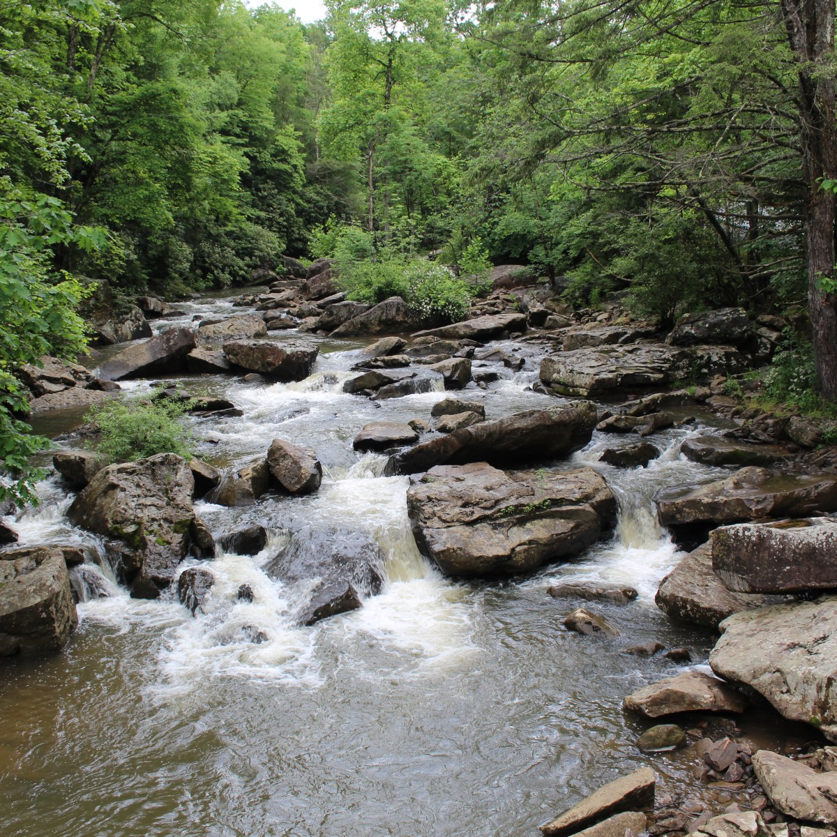 In Quietness and&nbsp;Trust