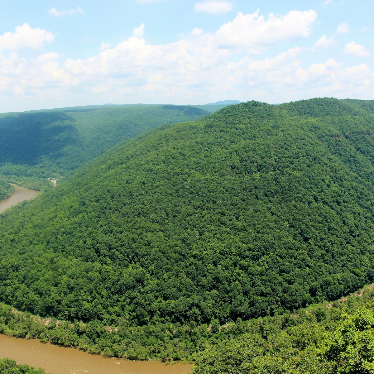 Love That Sacrifices