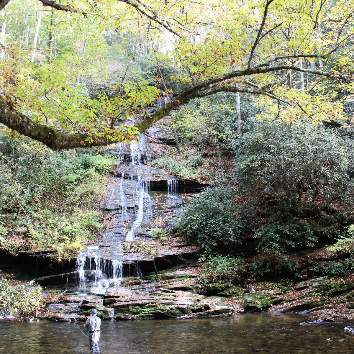 Setting His Face Toward&nbsp;Jerusalem
