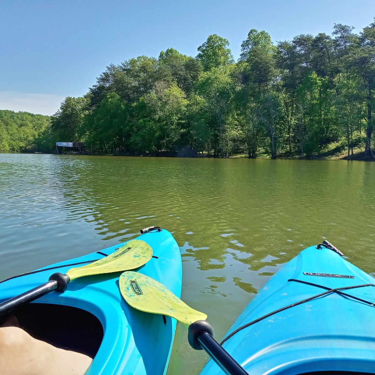 Wisdom for the&nbsp;Way