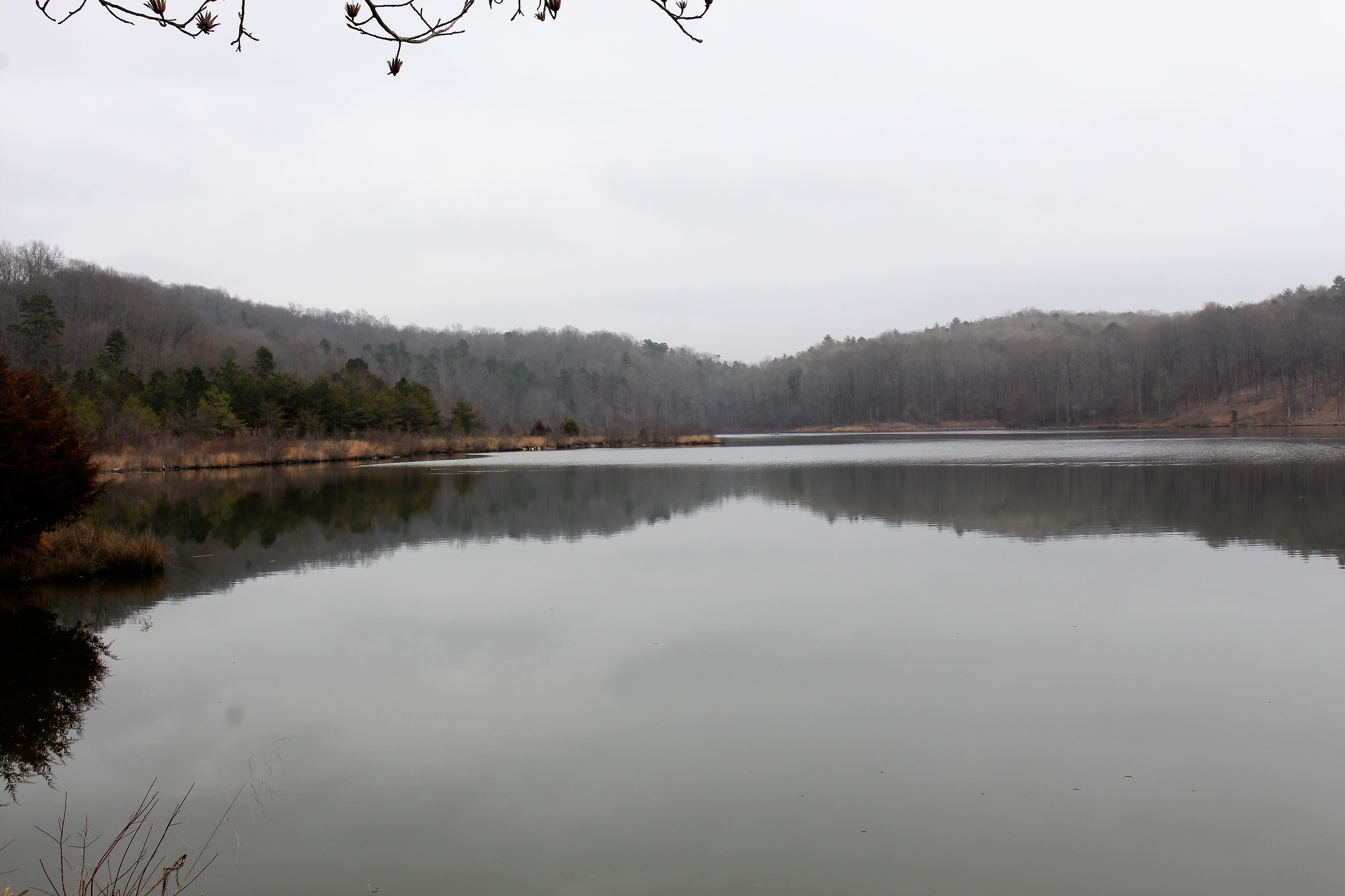 The Quietness of Trust