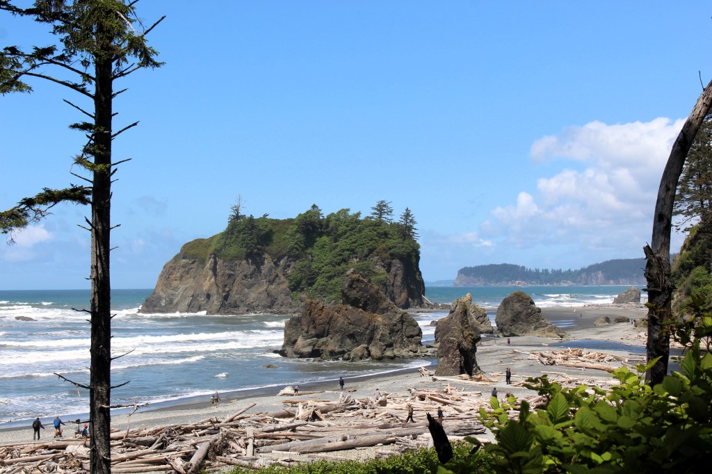 Putting Off the Old, Putting On the&nbsp;New