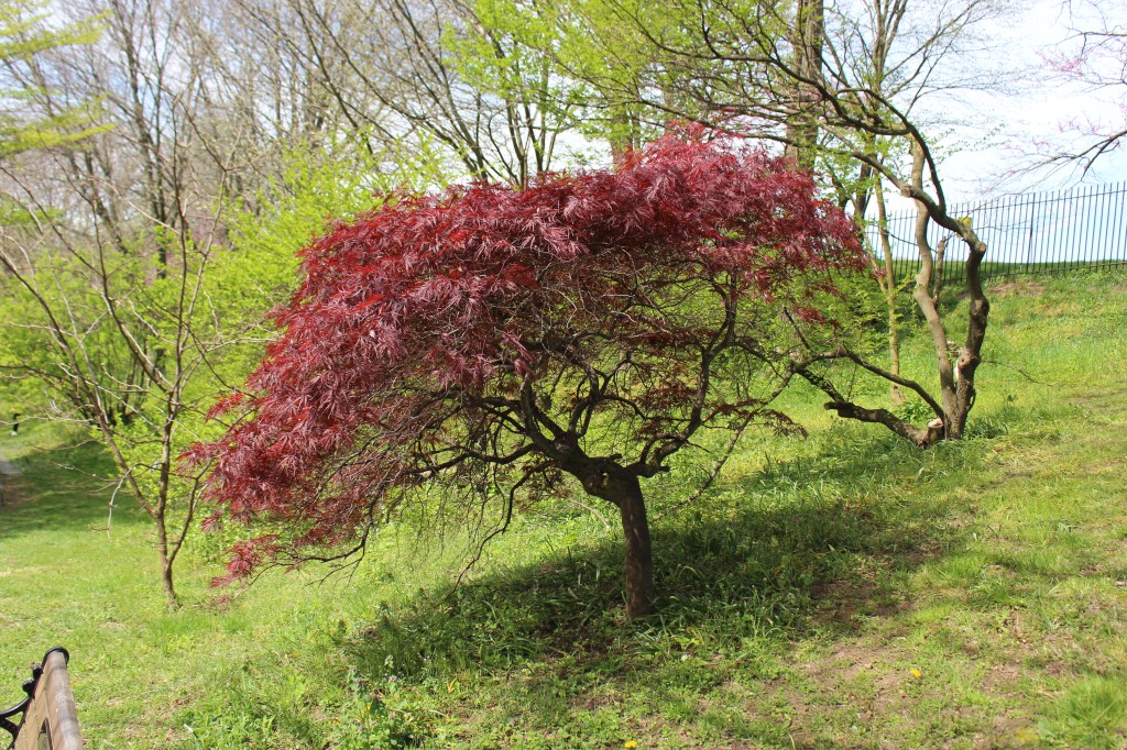 Reflections on God’s&nbsp;Mercy