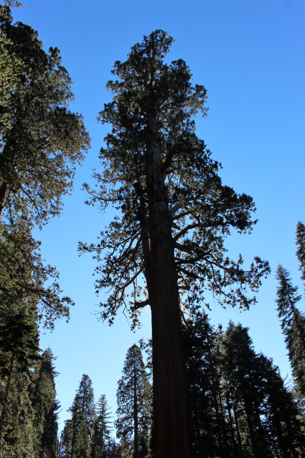 Embracing Divine Love