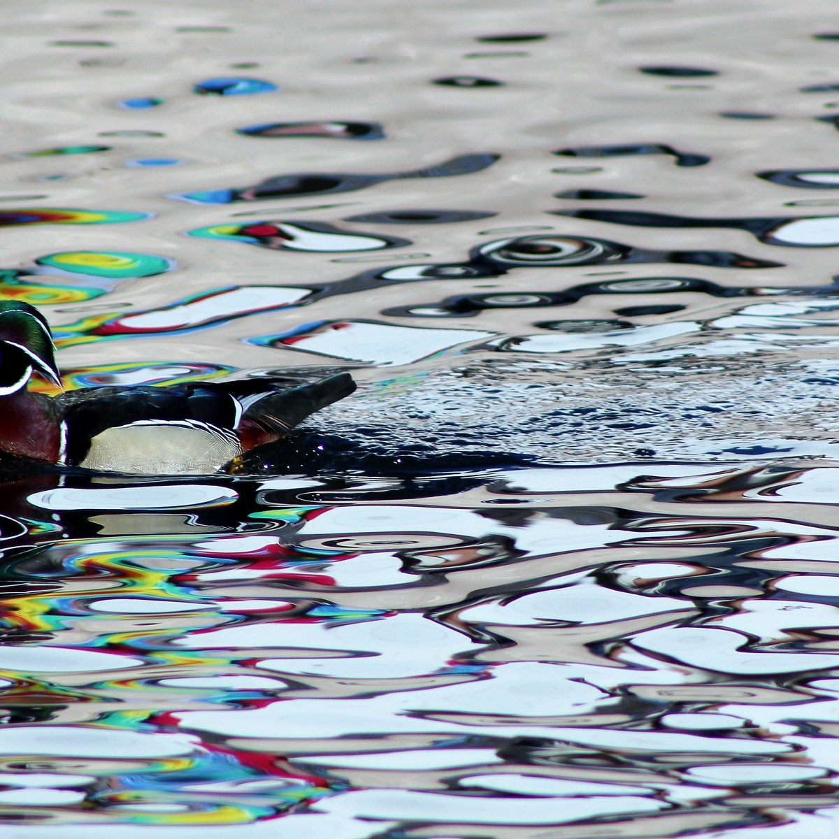 Covenant of Redemption