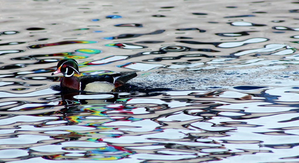 Covenant of Redemption