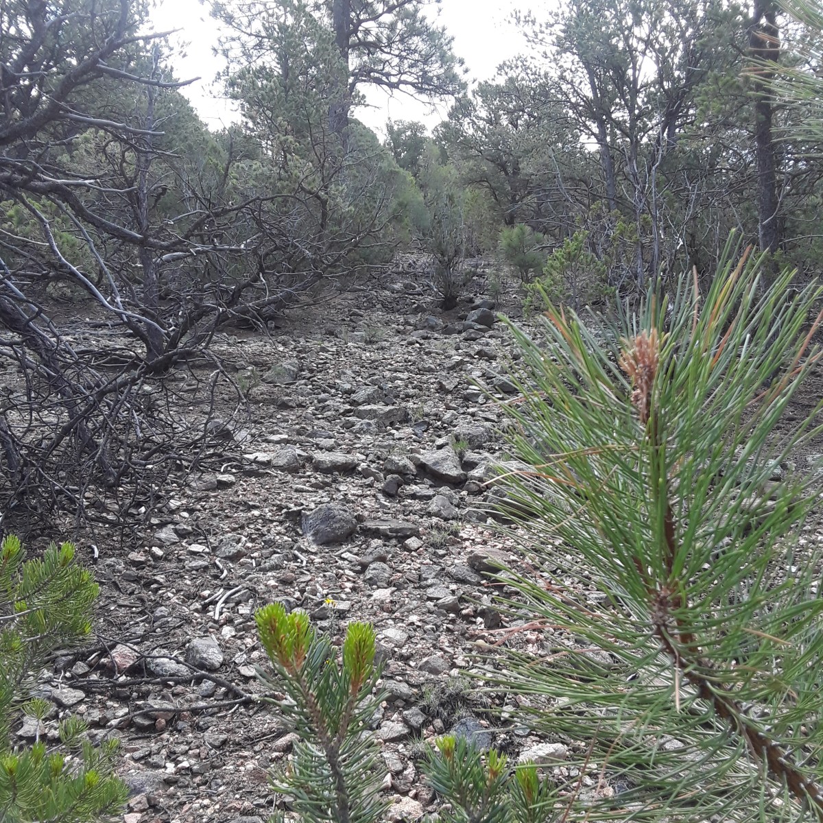 Lean Into His&nbsp;Presence