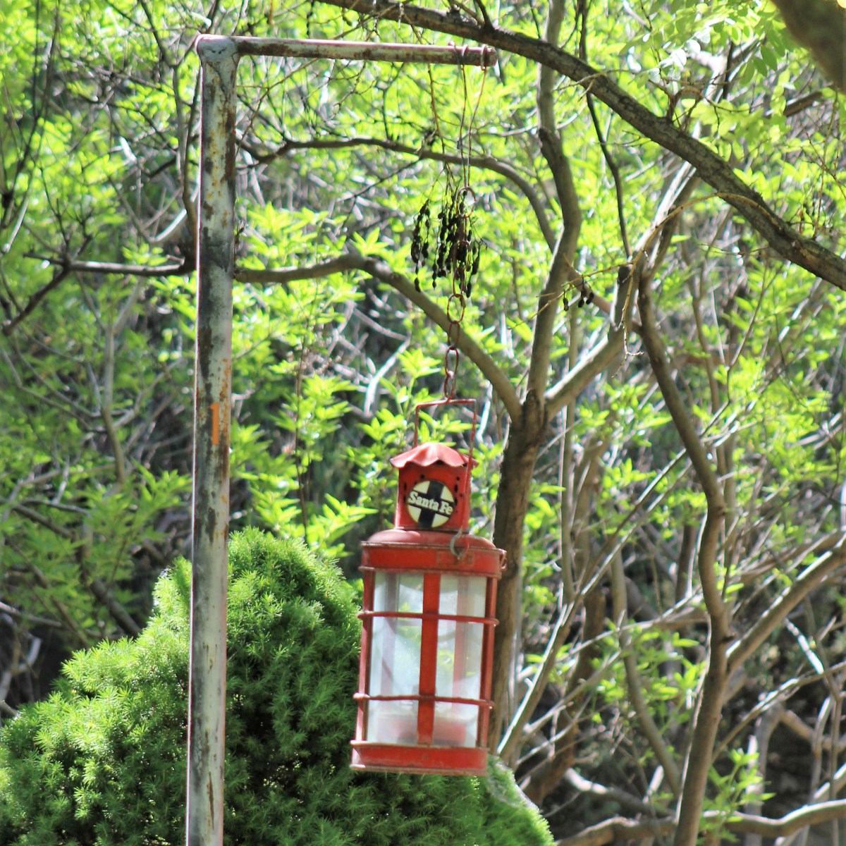 Walk in the&nbsp;Light