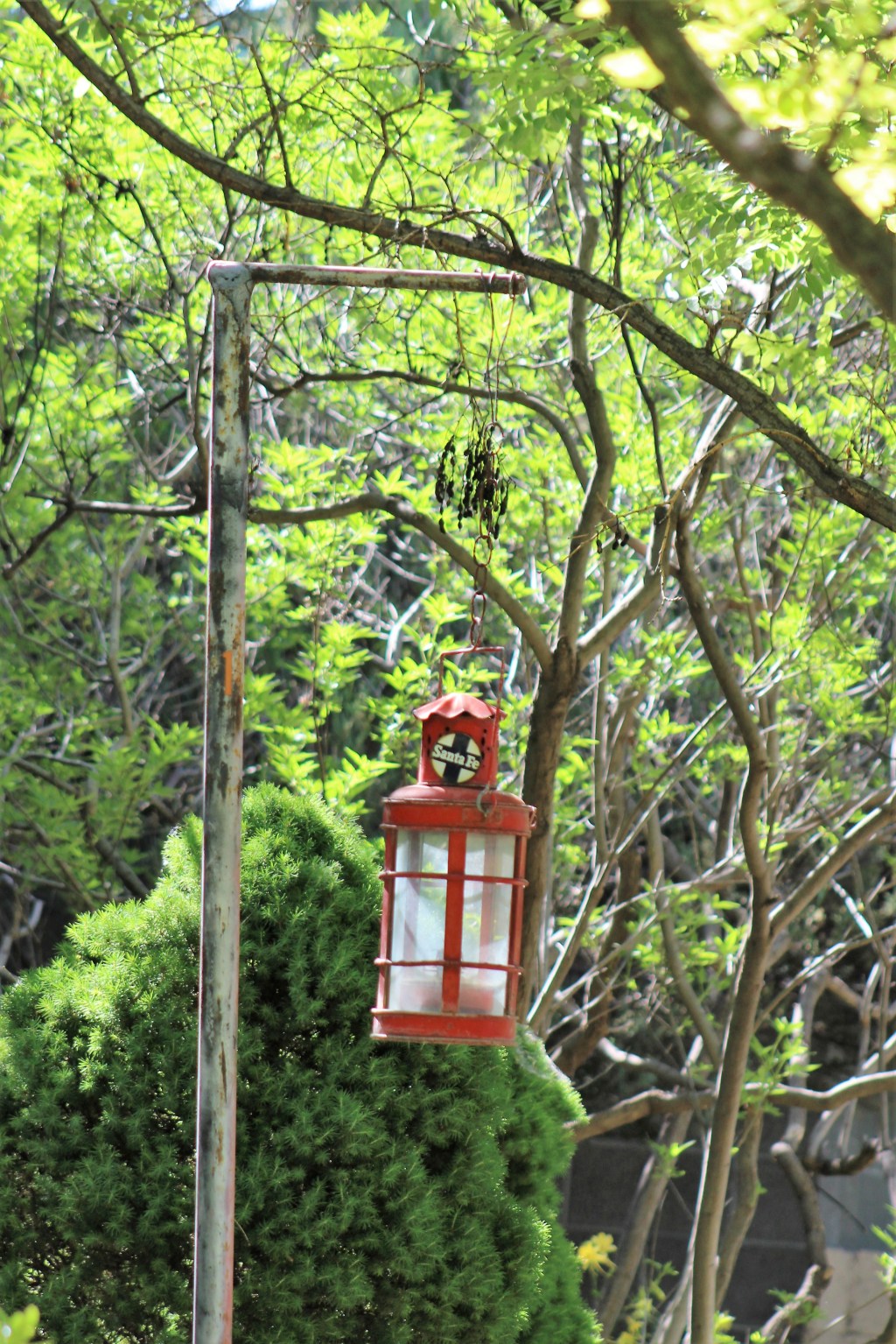 Walk in the&nbsp;Light