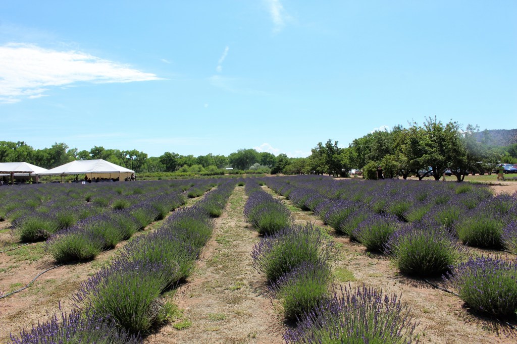 Letting Go of the Burden