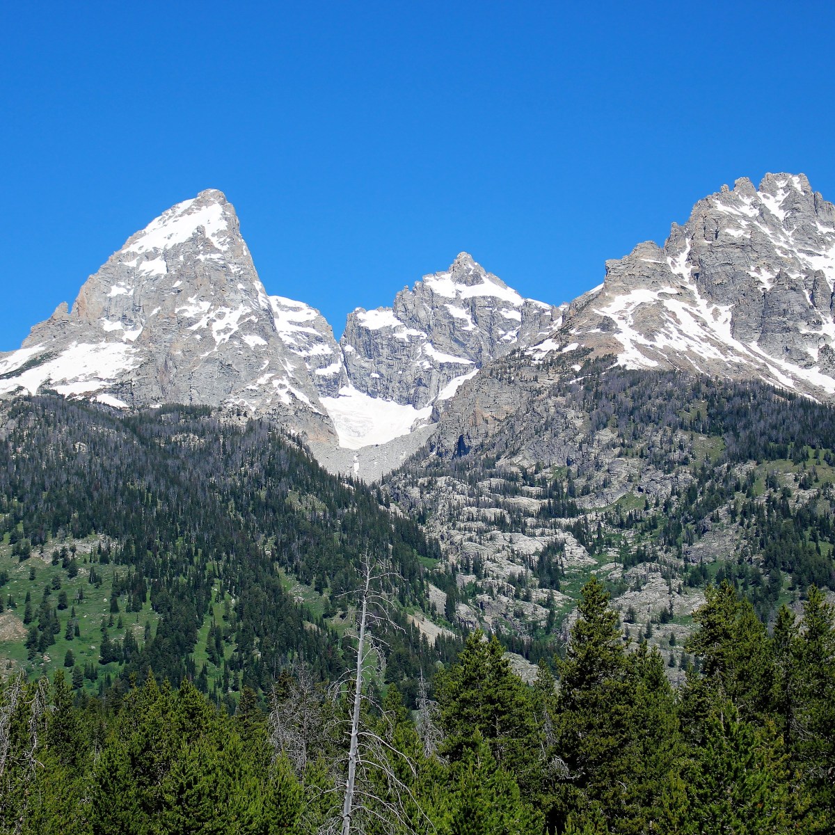 Where God Leads, God&nbsp;Provides