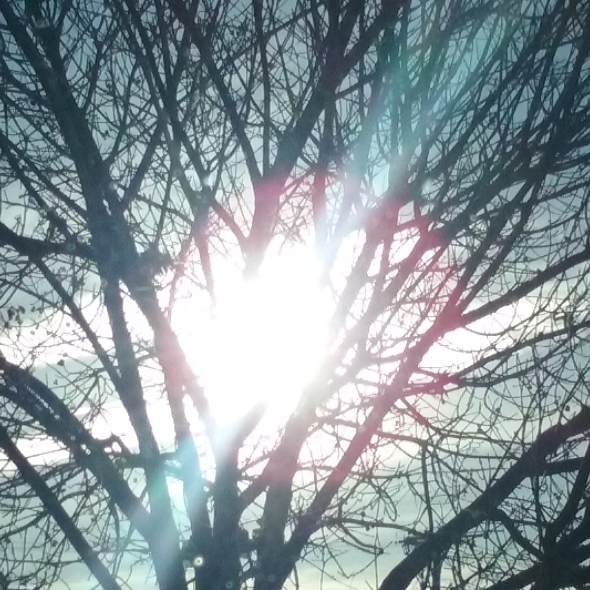 Love That Is&nbsp;Kind