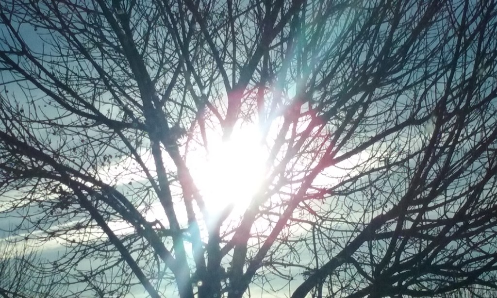 Love That Is&nbsp;Kind