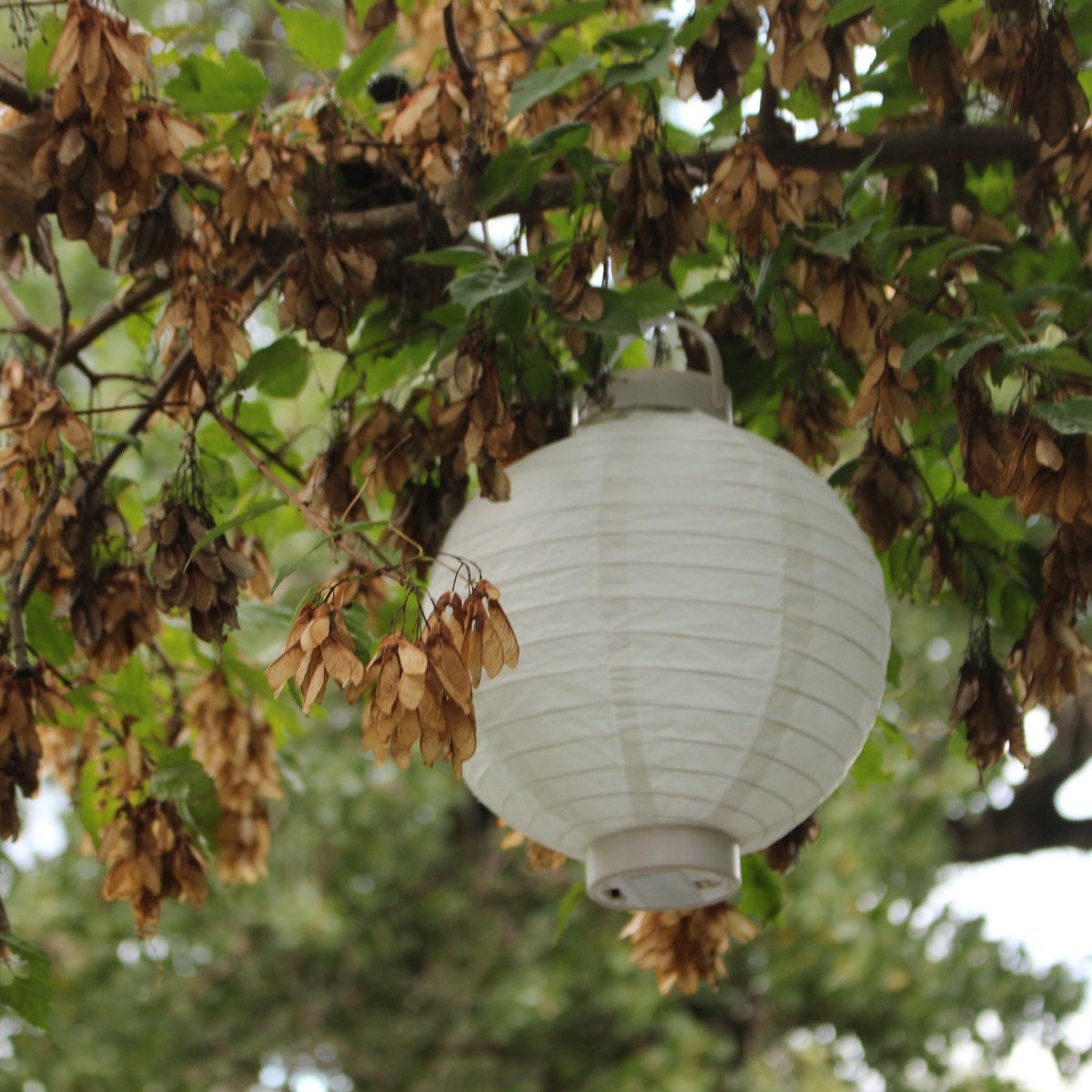 The God Who Sees&nbsp;You