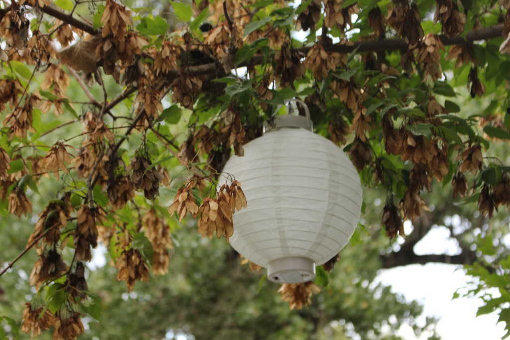 The God Who Sees&nbsp;You