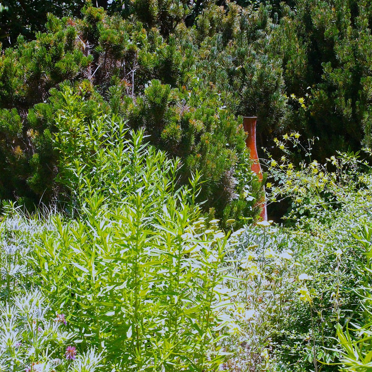 Love That Is&nbsp;Patient