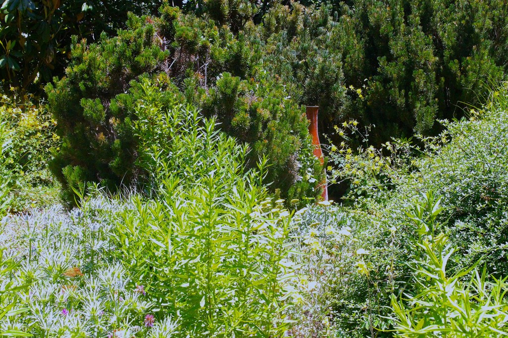 Love That Is&nbsp;Patient