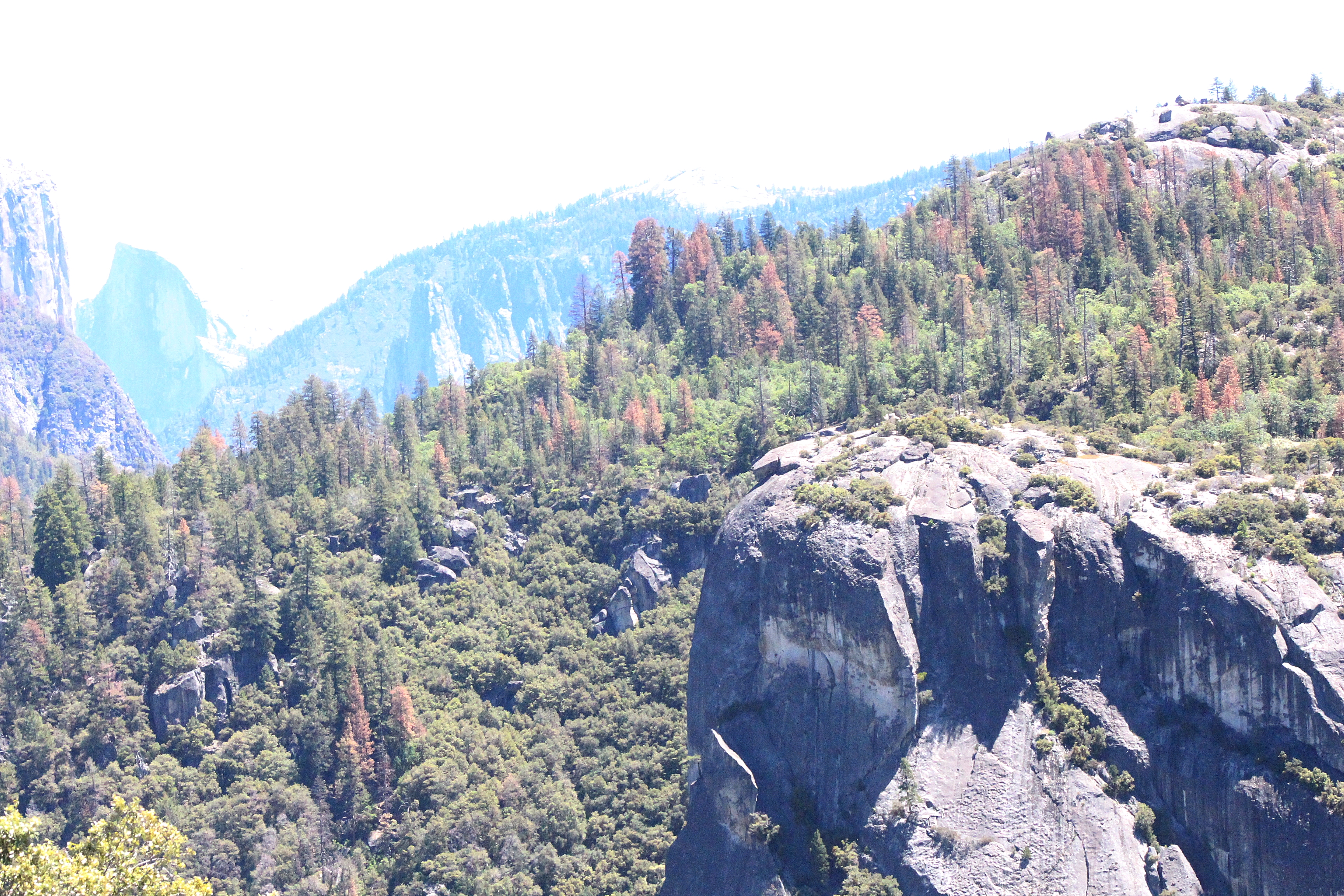 Build on the Rock