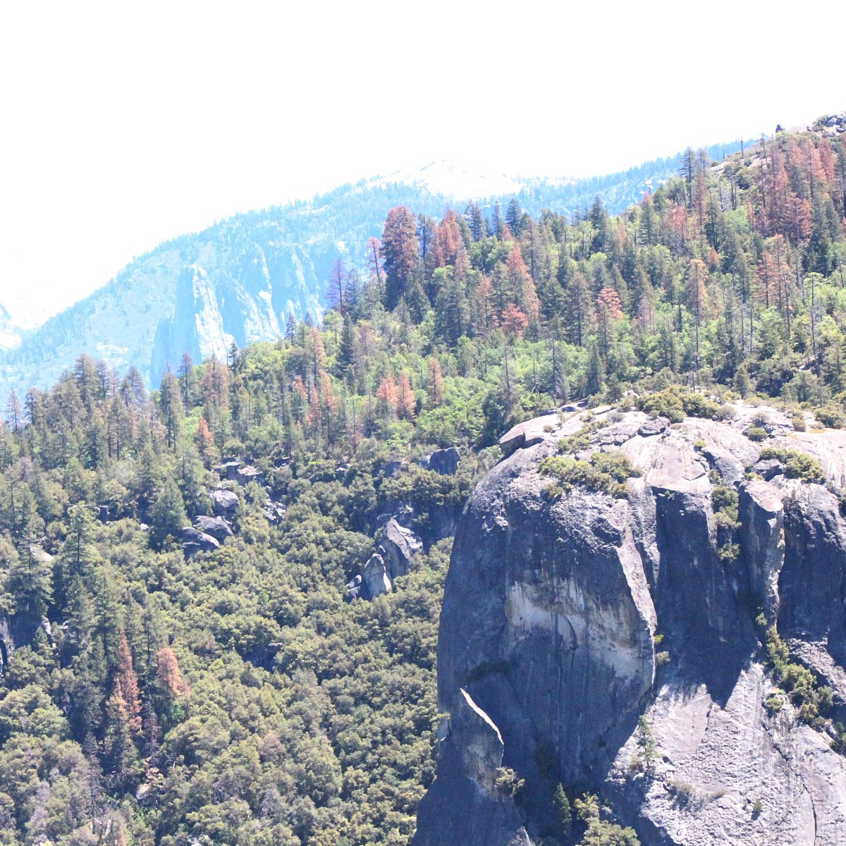 Build on the&nbsp;Rock