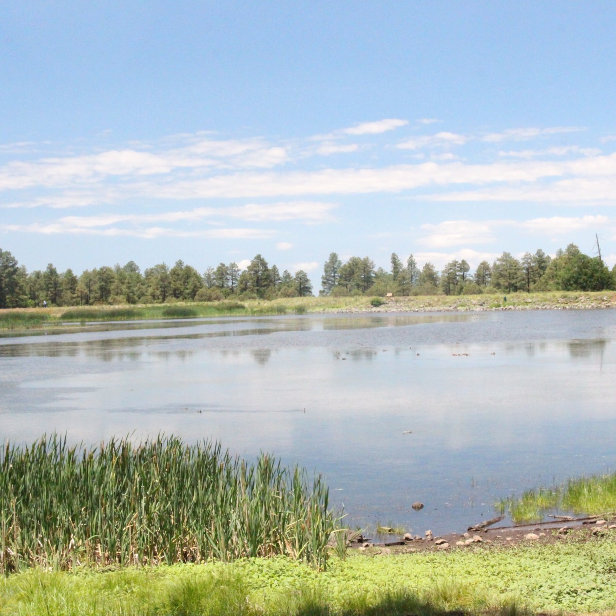 The Cost of His&nbsp;Calling