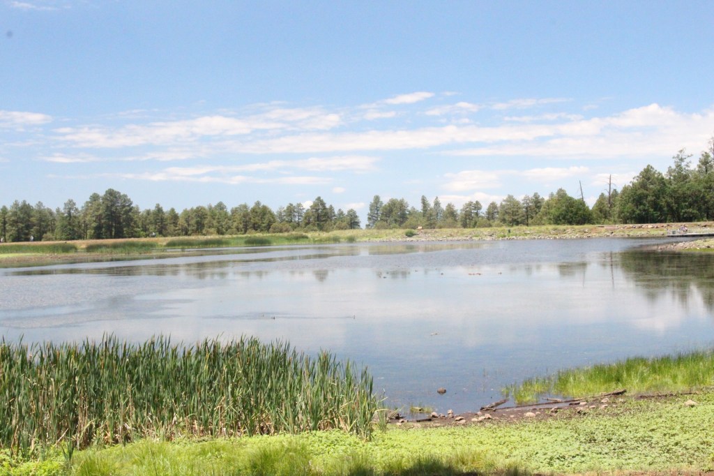 The Cost of His Calling