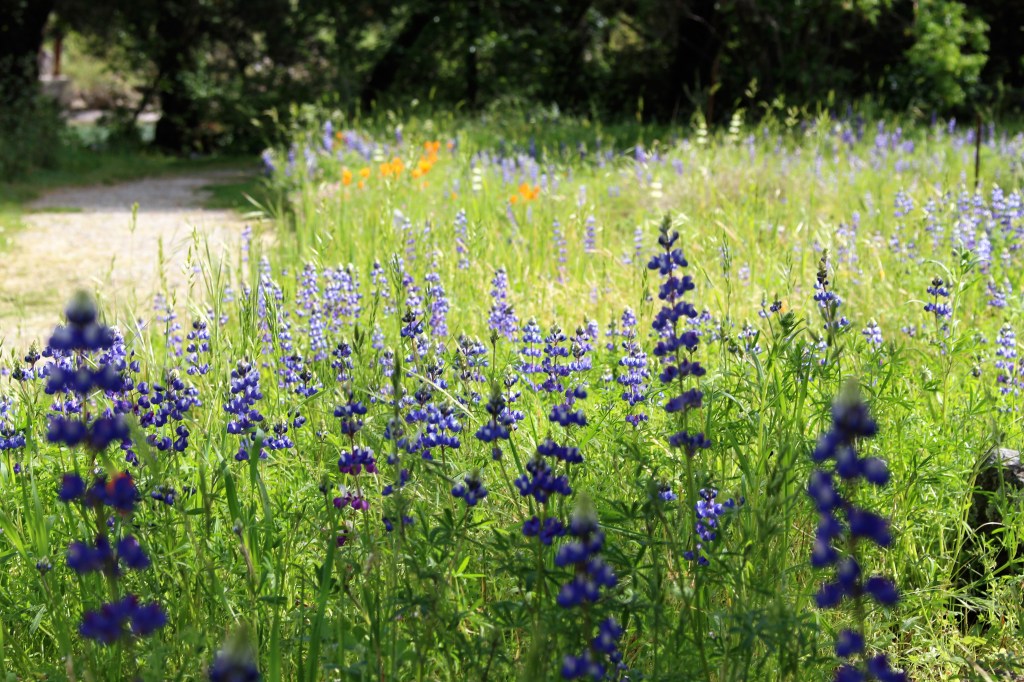 God Chooses the&nbsp;Soil