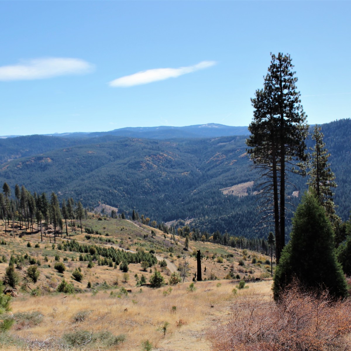 The Water of God’s&nbsp;Word