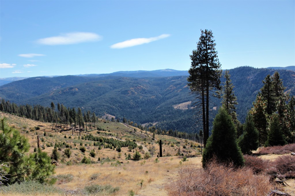 The Water of God’s&nbsp;Word