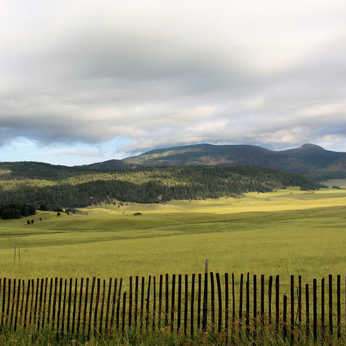 When the Soil Feels&nbsp;Hard