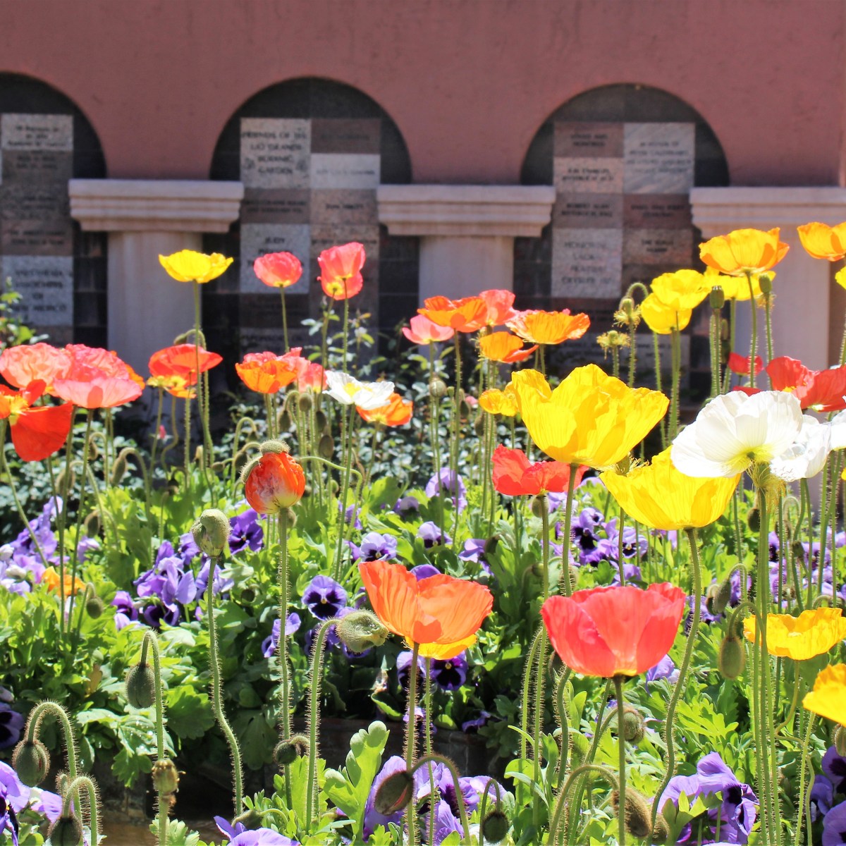 Helping Others Bloom