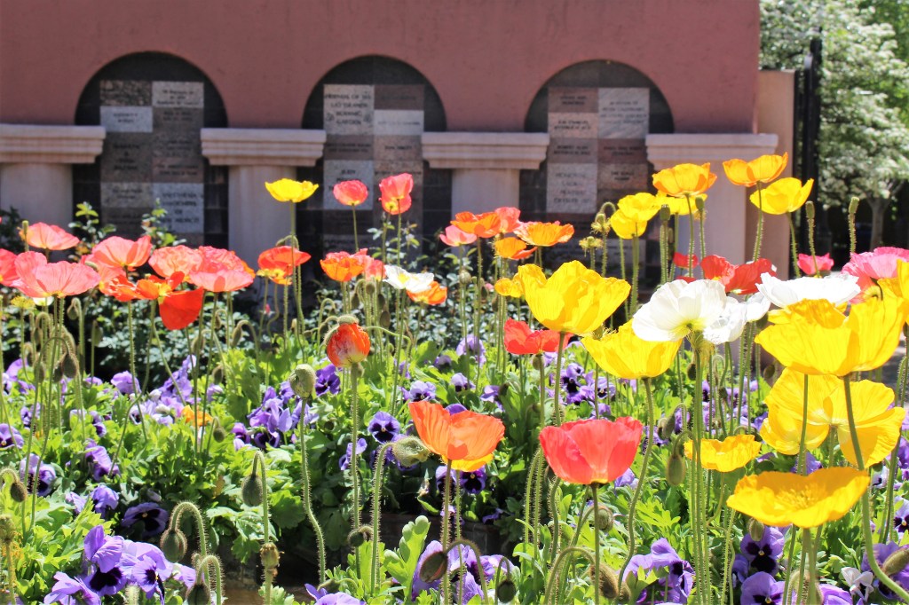 Helping Others Bloom