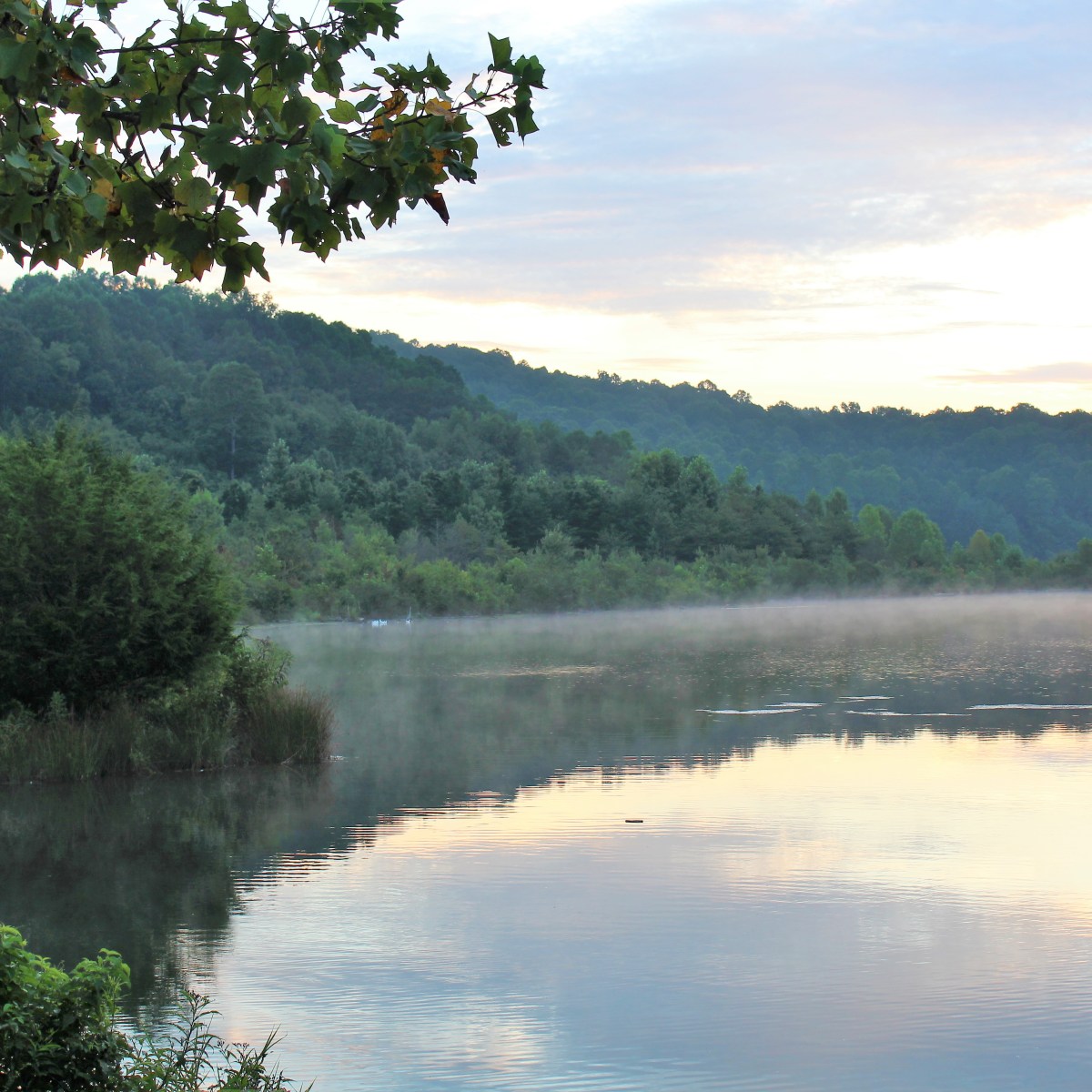 Turning Toward the&nbsp;Light