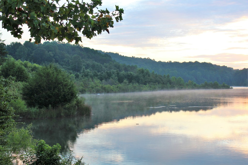 Turning Toward the&nbsp;Light