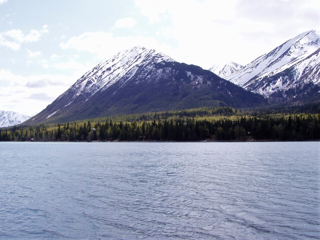 Strength That Comes from&nbsp;Waiting